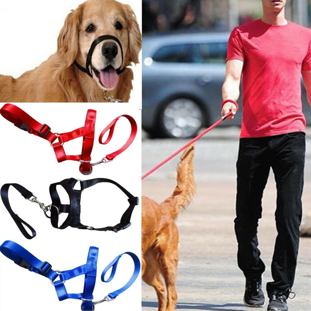 Pet Dog Head Collar Gentle Halter Leash Leader for Training Dogs Collar ...