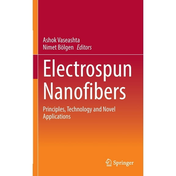 Electrospun Nanofibers: Principles, Technology and Novel Applications, (Hardcover)