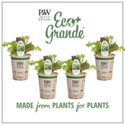 Proven Winners 4-Pack, 4.25 in. Eco+Grande, Mix Lettuce Live Plant Vegetable