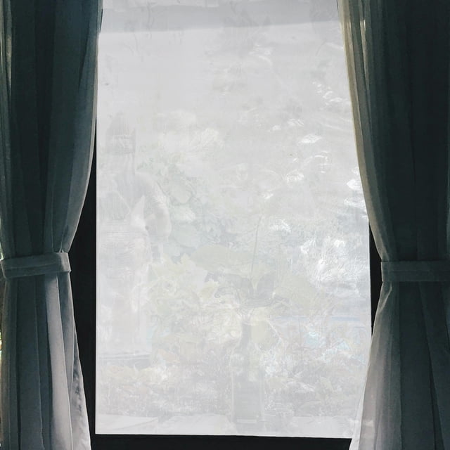 Película de privacidad para ventanas con patrón de flores, adhesivo para vidrio, para el hogar 78.74"L x 17.72"W transparente