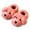 Watermelon Red, variant on Girls Slippers Boys Children's Winter Warm Cute Cartoon Dog Solid Color Drag Bind Foot Baby Shoes Size 18-24 M