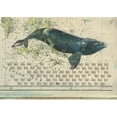 thumbnail image 4 of Stefano Faravelli Verso Capo Horn (Hardcover), 4 of 4