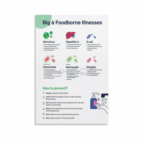 Big 6 Foodborne Illnesses Poster, Food Safety Poster (3) Canvas Painting Wall Art Poster for Bedroom Living Room Decor