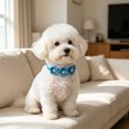 thumbnail image 4 of Pet Bow Tie Collar with Rhinestone Flower, Adjustable Glitter Sparkly Party Wedding Accessory for Cats Dogs, Polyester, Neck 28–42 cm, 14 x 4 cm, 4 of 6