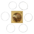 thumbnail image 1 of OUNONA 6Pcs Replacement Acoustic Guitar Strings Silver Copper Alloy Comfortable Sound, 1 of 8