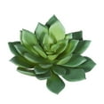 thumbnail image 1 of Vickerman FA170401 Vert &amp; Cactus Gris Succulent, 1 of 3