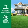 thumbnail image 5 of Maximum Green & Growth Fertilizer High Nitrogen 28-0-0 Liquid Lawn Food Spray Spring & Summer- Any Grass Type- - Concentrated Quick & Slow Release Attached Sprayer (32 Ounce), 5 of 5