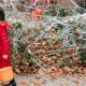 thumbnail image 2 of Halloween Spider Web 200G, Halloween Spider Web with 30 Fake Spiders, Spider Web, Halloween Decoration Activity, Halloween Indoor and Outdoor Decorati, 2 of 5
