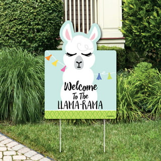 Llama Sleepover Parties Supplies Box- Llama Party decor –