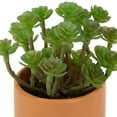 thumbnail image 3 of Northlight Mini Artificial Succulent in Face Planter Pot - 5.5", 3 of 6