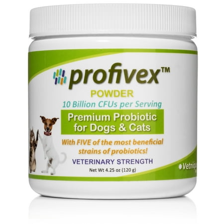 Profivex Clinical Strength Probiotic Powder Supplement for Dogs & Cats, 4.25