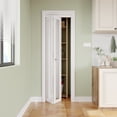 thumbnail image 2 of 24" X 80" 1-Lite Mirrored Door Solid Manufactured Wood Bi-Fold Door with Installation Hardware Kit, 2 of 8