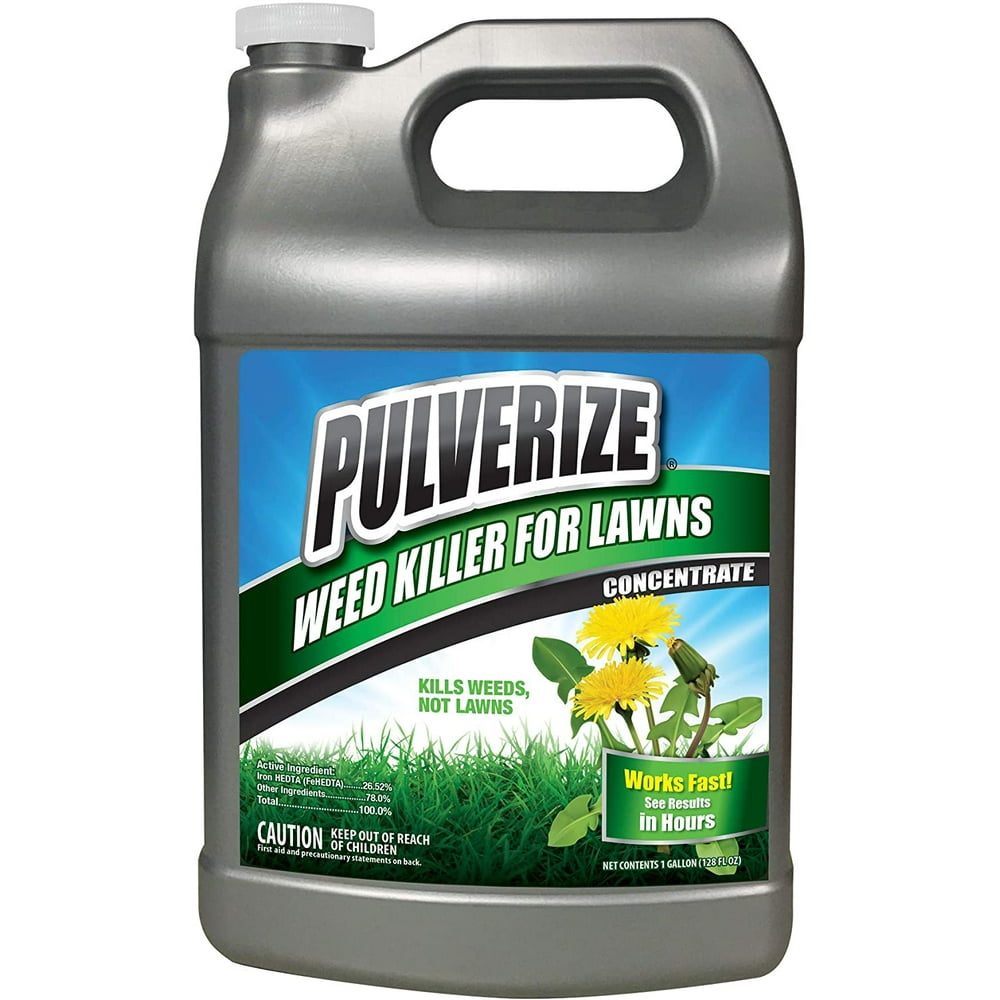 spraying weed killer in fall