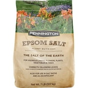 Pennington 397606 Epsom Salt Plant Nutrient, 7 lb
