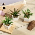 thumbnail image 2 of BalsaCircle 3 Green Assorted 5" Artificial Faux Cute Realistic Succulent Plants White Pots, 2 of 6