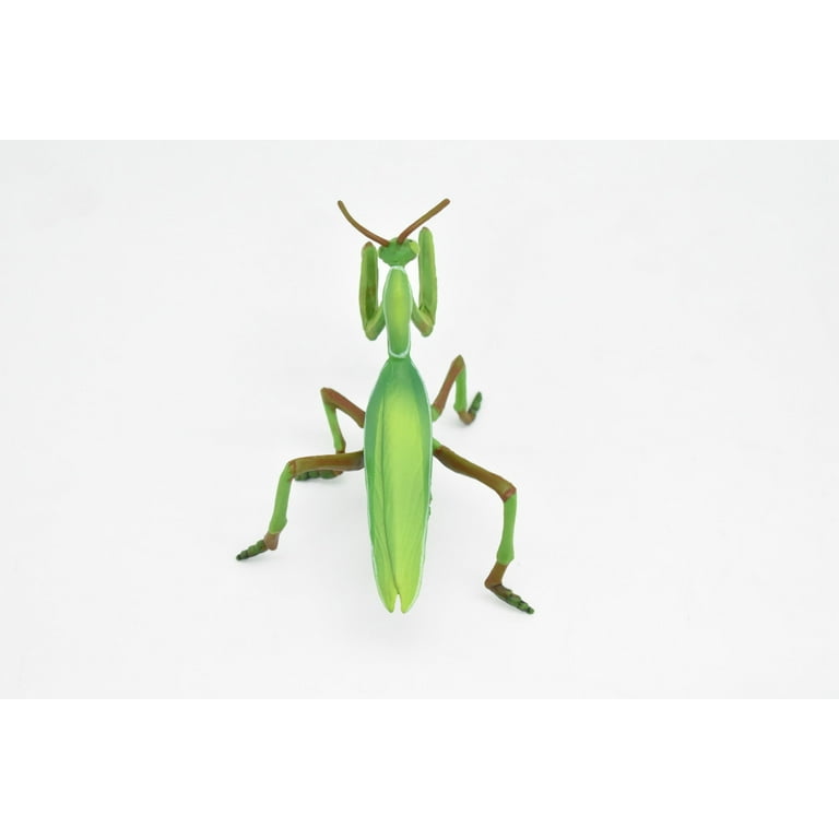 アビソ プレイング・マンティス5’4″ AVISO　PRAYING MANTIS Insect backpack praying mantis, bag stuffed | eBay