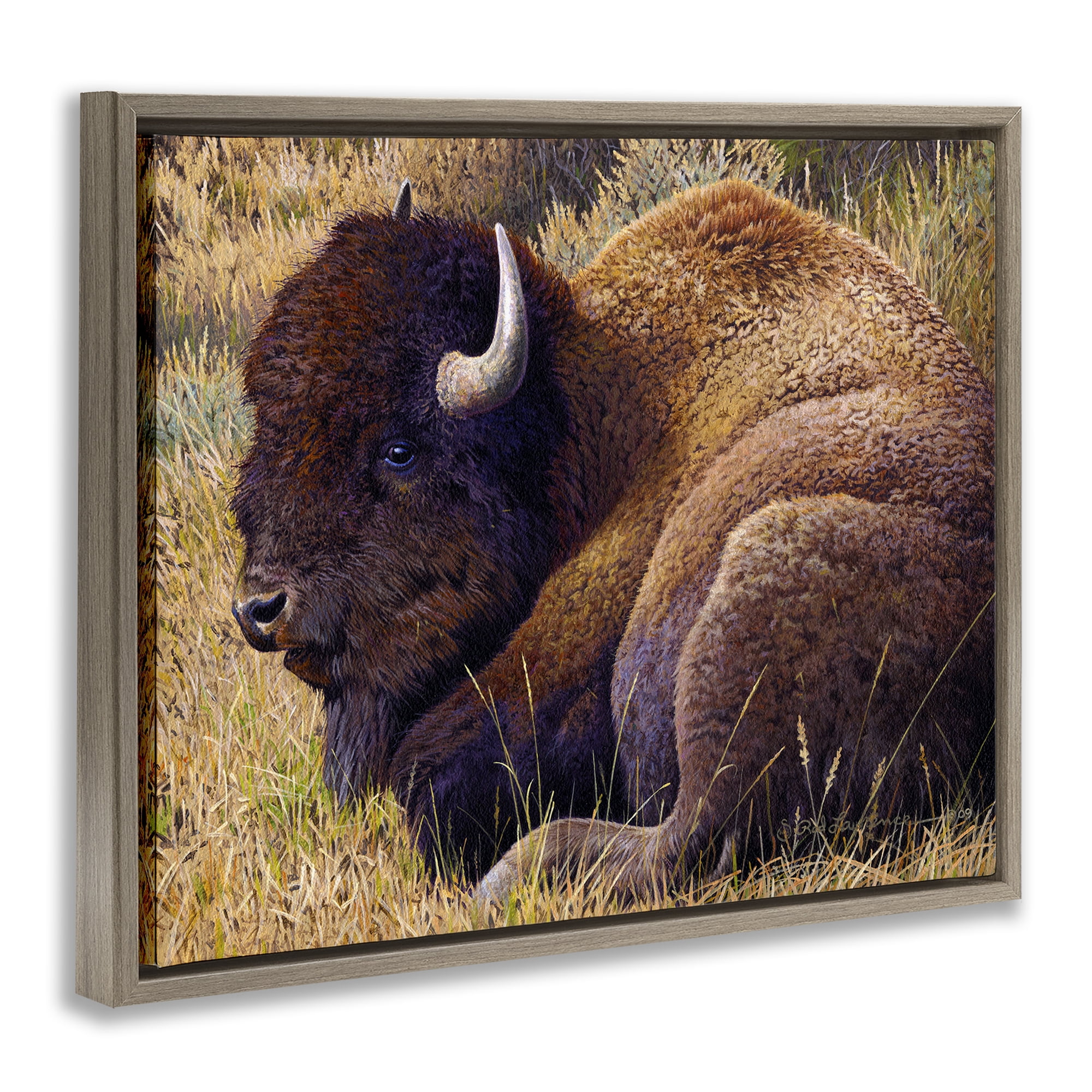 Stupell Industries Relaxing Young Bison Animals Painting Brown Floater Framed Canvas Art Print Wall Art, 21 x 17