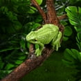 thumbnail image 6 of 2 Pack Outdoor Decoration Frog Animals Figurines Model Toys Fake Decorate, 6 of 11
