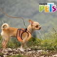 thumbnail image 2 of ARNES BAYAB C/MALLA CH Fancy Pets TX40724, 2 of 2