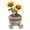 A, variant on Sktrjpolfis Potted Plant Plush Ornament, Cute Cactus/Sunflower/Flower Design, Soft Stuffed Decorative Piece for Home Desk Gifting