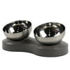 Raised Cat Bowl for Pet Small Dogs Food Water Feeding 20° Tilted Elevated Stand with 2 Stainless Steel Bowls Silicone Base Dish Feeder