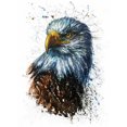 thumbnail image 2 of Cuadros Decorativos Águila 5D Diamond Painting DIY Animal Full Round Drill Decoración (HJ578) DQrwqpou Nuevos Originales, 2 of 9