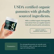 Gaia Herbs Organic Ashwagandha Gummies - Stress Support* - Supports Healthy Cortisol Balance* - Made with Cinnamon & Ginger - Gluten Free & Vegan - 120 Count (40 Servings)