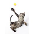 thumbnail image 3 of Hartz Just for Cats Sparkle Madness Cat Toy, 3 of 4