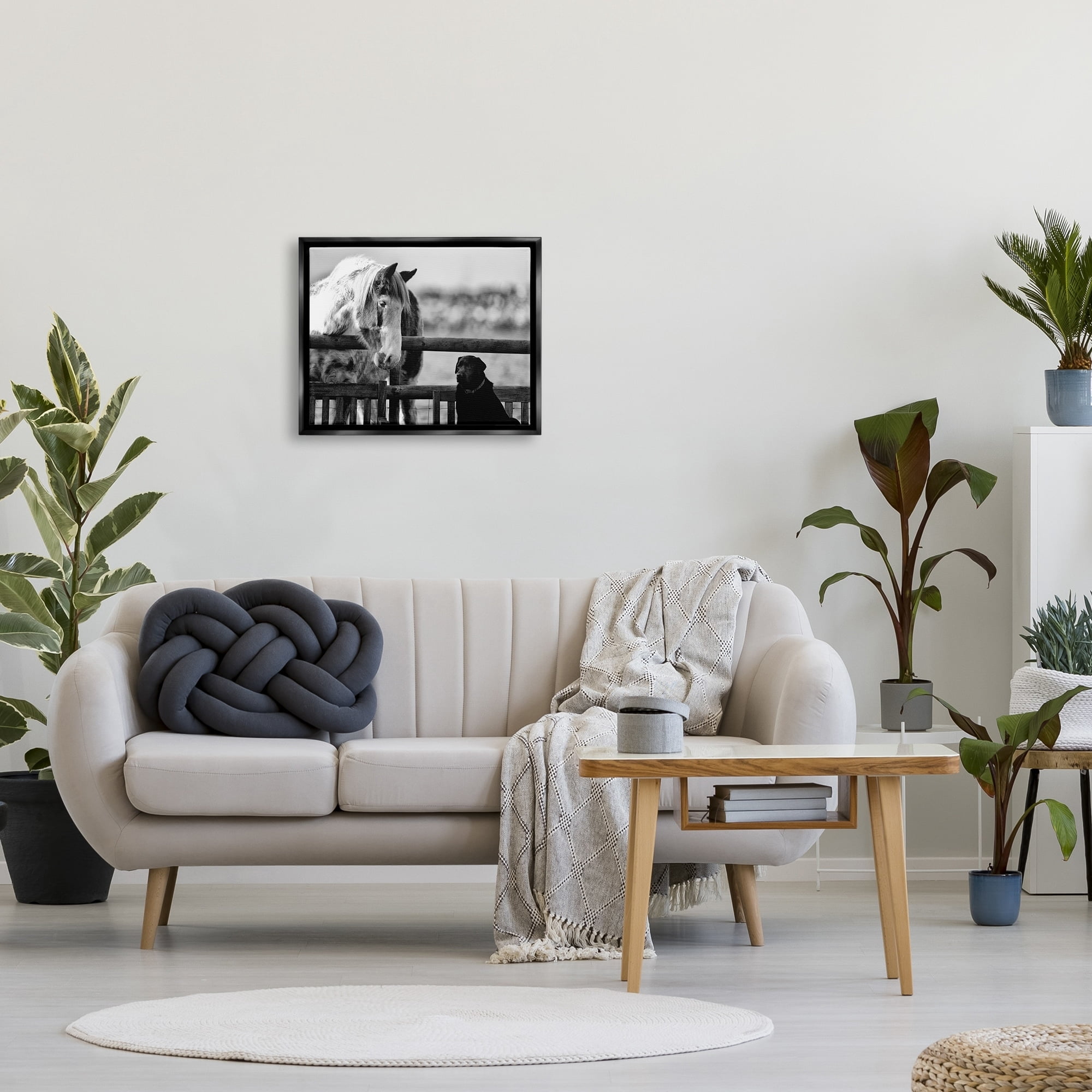 Stupell Industries Dog & Horse Farm Animal Friends Monochrome Photography Photograph Jet Black Floating Framed Canvas Print Wall Art, Design by James Dobson