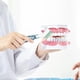 thumbnail image 3 of BEMS-cepillos para dentaduras postizas azules y verdes de 2 piezas, cepillo de limpieza para dentaduras postizas, 3 of 5