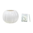 thumbnail image 2 of Pumpkin Vase with Flowers Plastic Decorative Container Festive Home Decor Halloween Thanksgiving Flower Arrangement Decor, 2 of 6