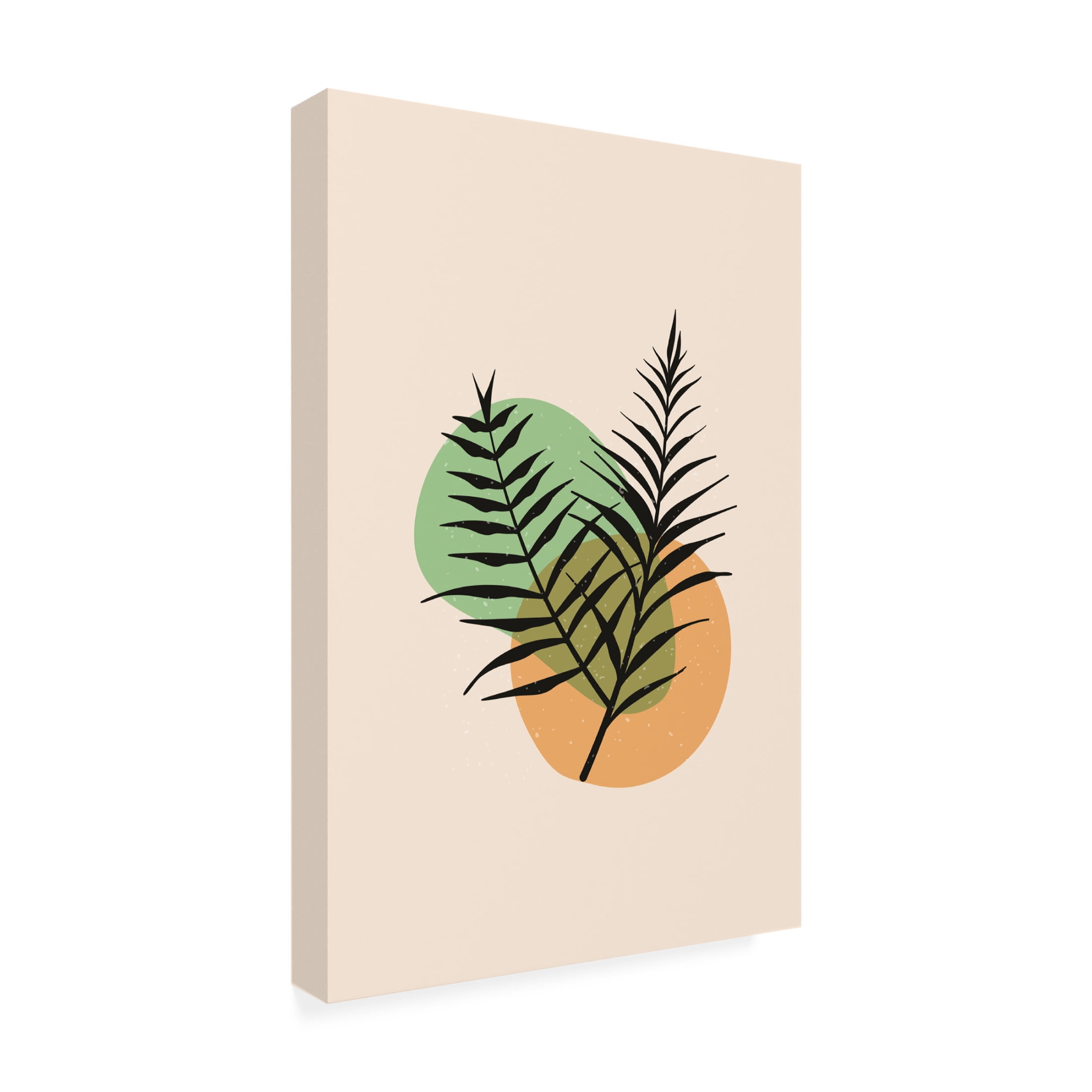 Trademark Fine Art jay stanley  Abstract Botanical 3 Canvas Wall Art