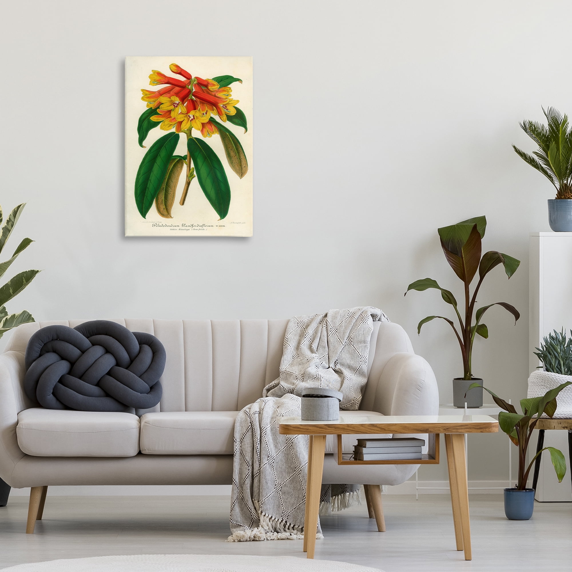 Stupell Industries Orange Yellow Rhododendron Canvas Wall Art, design by Print Collection