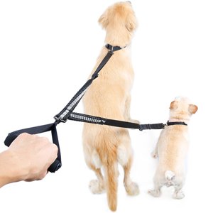 Double laisse pour chien Réflective Ajustable Pet Marche pour chien Entraînement de laisse pour chiens