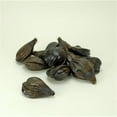 thumbnail image 1 of Modern Day Accents 3672 Nipa Pods - Sac de 12, 1 of 1