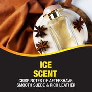 California Scents Palms Ice Paper Car Air Freshener
