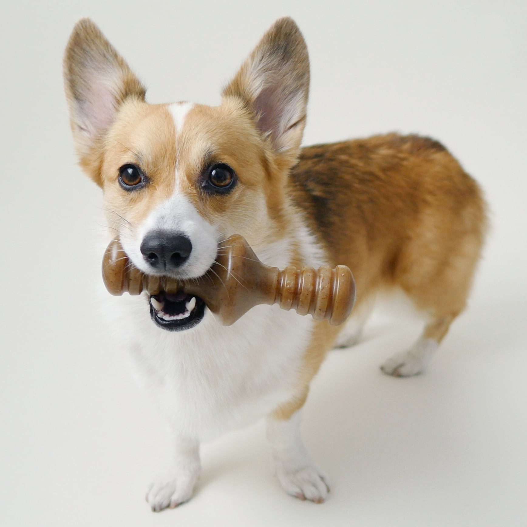Lumabone Wag-n-Roll Durable Dog Chew Toy Bacon Medium