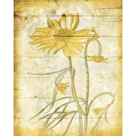 10 Day Print - Calm Day Breeze Poster Print by Jace Grey (8 x 10)