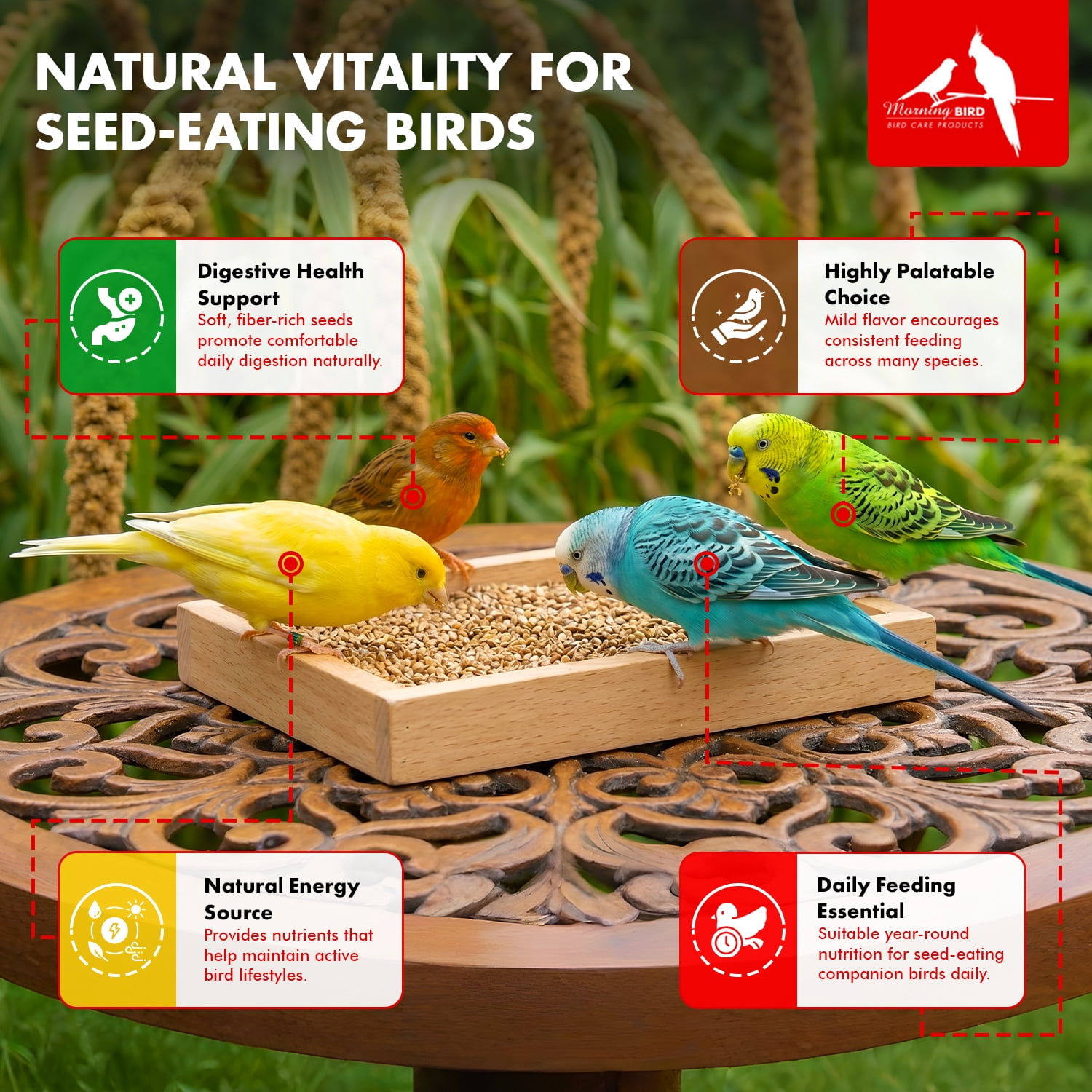 Morning Bird Japanese Millet Seed 4.5 lbs (3-Pack, 1.5 lbs Each) - Bird Food for Finches, Canaries & Parakeets – Natural Millet Seed for Daily Nutrition