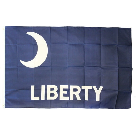 Fort Moultrie - 3'X5' Polyester Flag
