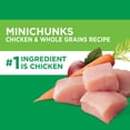 thumbnail image 4 of IAMS Proactive Health Adult Minichunks Dog Food, Chicken and Whole Grain 30 lb Bag (Pack of 8), 4 of 10