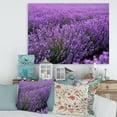 thumbnail image 1 of Designart Blooming Purple Lavender Field Canvas Wall Art, 1 of 4