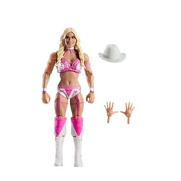 Iyo Sky - WWE Elite 105 WWE Toy Wrestling Action Figure by