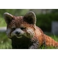 thumbnail image 2 of Petit PANDA Roux Marcheur, 2 of 4
