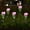 Pink_PK, variant on EWASWON Christmas Solar Artificial Rose Garden Stakes - Waterproof Outdoor Decor, Christmas Gift, Yellow LED Lights for Lawn & Garden