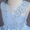 thumbnail image 5 of Flower Girl Dress Elegant Lace Applique Tulle Ball Gown Sleeveless Formal Princess Party Gown for Wedding Birthday Pageant Performance, 5 of 5