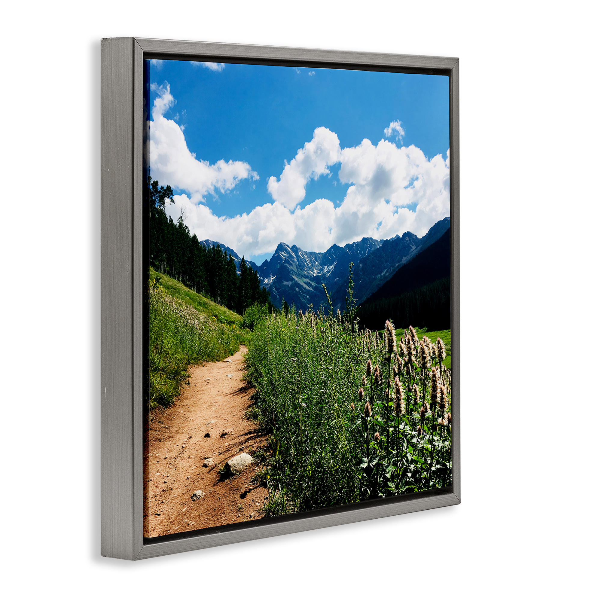 Stupell Industries Lovely Path with Clouds Landscape & Nature Photography Gray Floater Framed Canvas Art Print Wall Art, 25 x 25