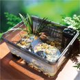 thumbnail image 5 of Turtle breeding tank ecological small amphibious household turtle breeding, 5 of 5