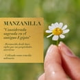 thumbnail image 4 of Shampoo Herbal Essences Bio:Renew Chamomile 400 ml, 4 of 5