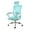 Blue, variant on Elama Full Back Mesh Adjustable Office Chair with Headrest in Black